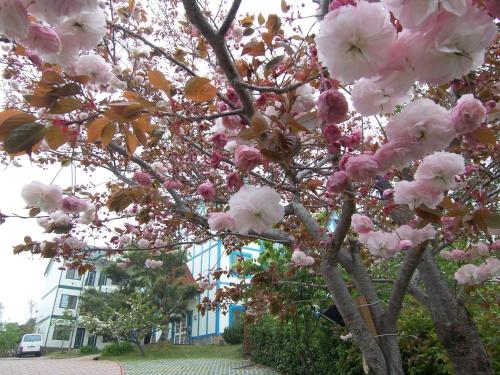 mone garden inn cingjing