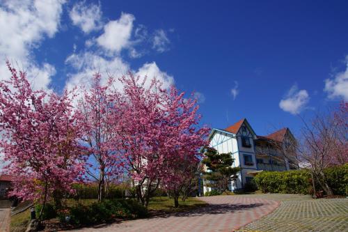 mone garden inn cingjing