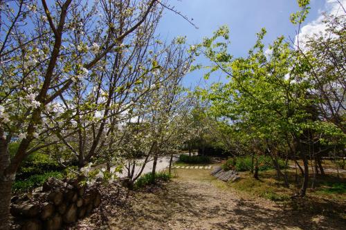 mone garden inn cingjing