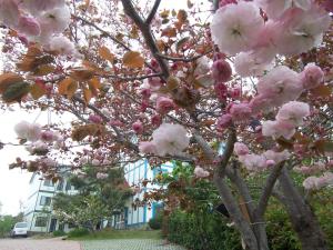 mone garden inn cingjing