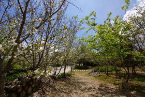 mone garden inn cingjing