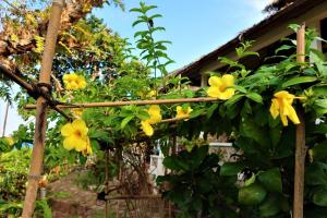 breve azurine lagoon retreat