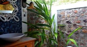 breve azurine lagoon retreat