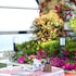 busan beach hotel busan songdo