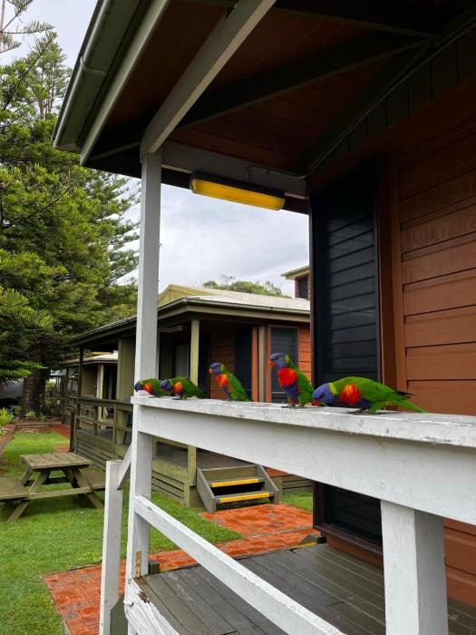 shelly beach holiday park