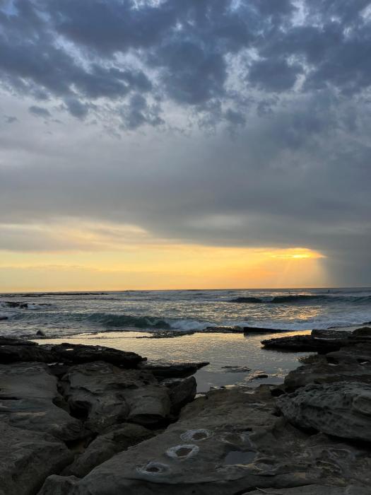 shelly beach holiday park