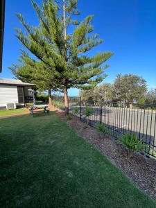 shelly beach holiday park