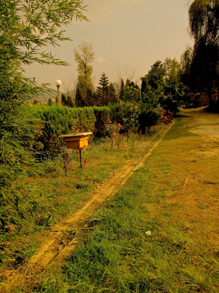 araniko village resort