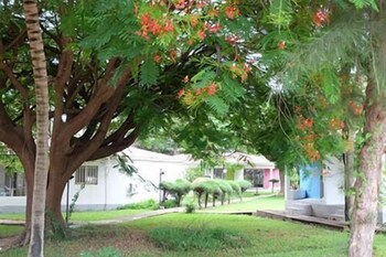 serrekunda