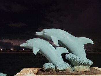 jeju city