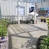 jeju city