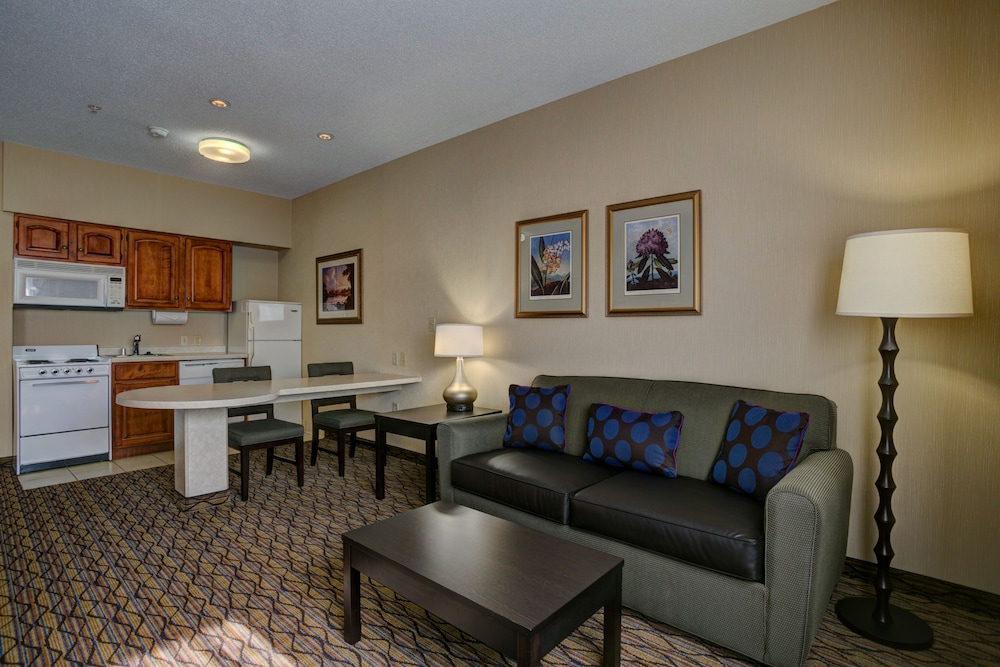 holiday inn hotel and suites milwaukee airport by ihg