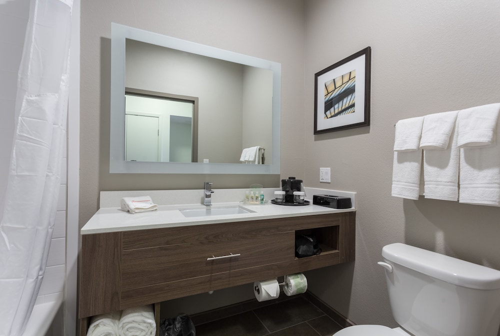 holiday inn san marcos convention ctr area by ihg