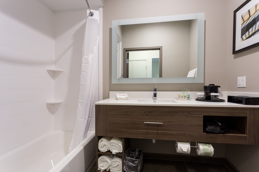 holiday inn san marcos convention ctr area by ihg