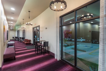 holiday inn san marcos convention ctr area by ihg