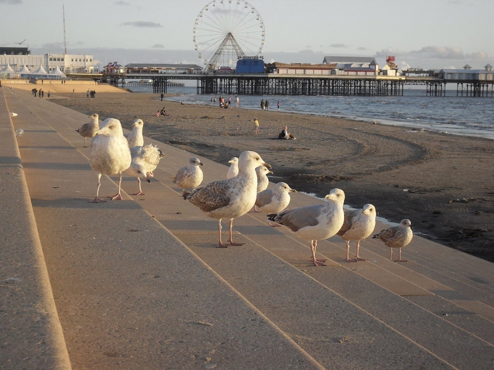 blackpool