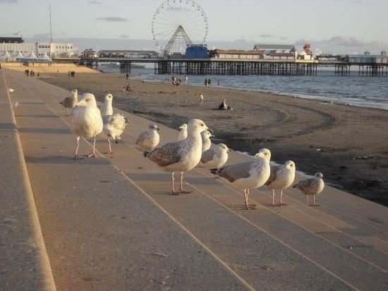 blackpool