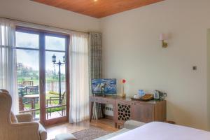 tea plant nuwara eliya