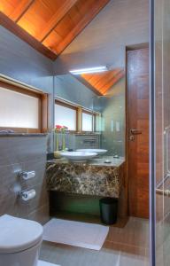 tea plant nuwara eliya