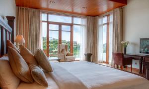 tea plant nuwara eliya