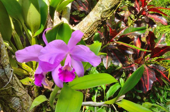 jendela di bali villa