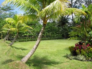 jendela di bali villa