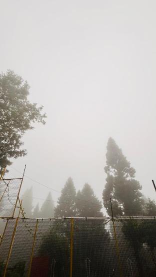 orko hilltop resort mussoorie