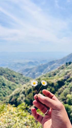 orko hilltop resort mussoorie