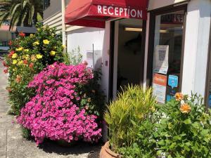 opononi lighthouse motel