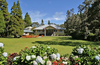 kilauea lodge and restaurant