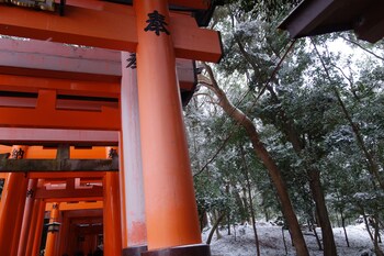 kyo machiya stay waka fushimiinari tei