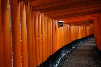 kyo machiya stay waka fushimiinari tei