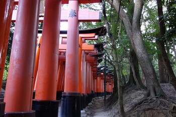 kyo machiya stay waka fushimiinari tei