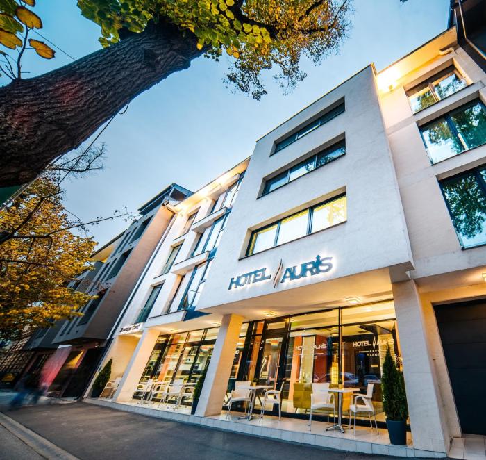 auris hotel