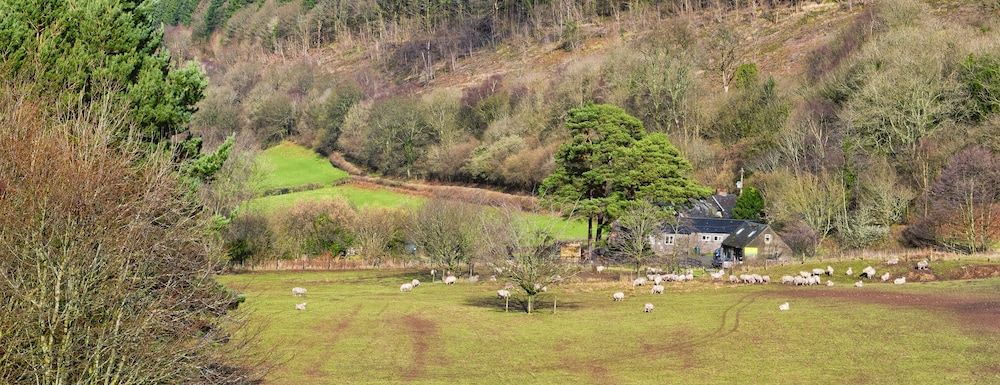 brecon