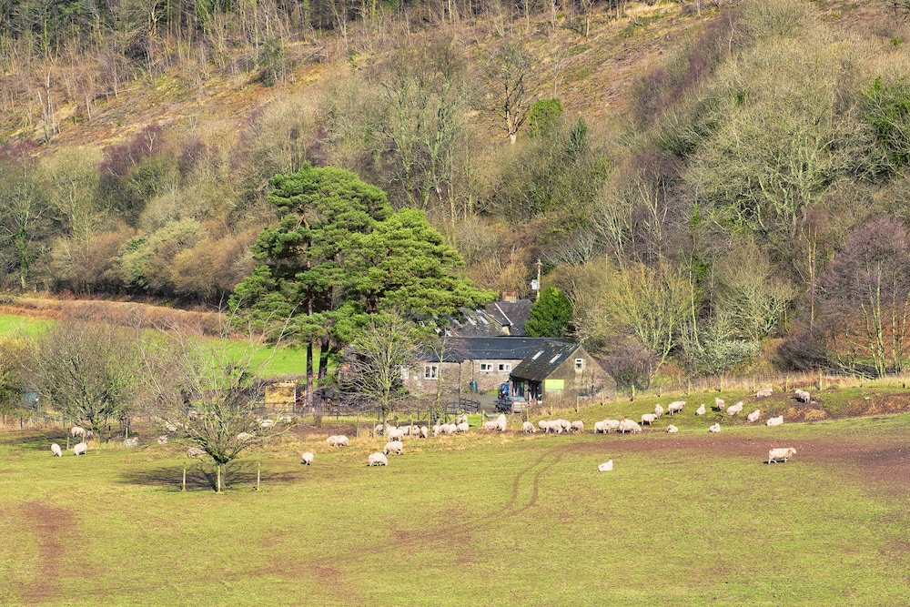 brecon