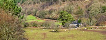 brecon