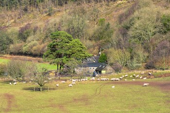 brecon