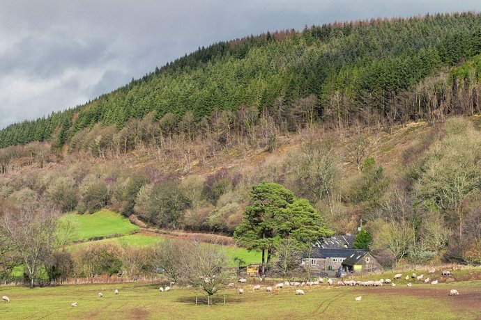 brecon