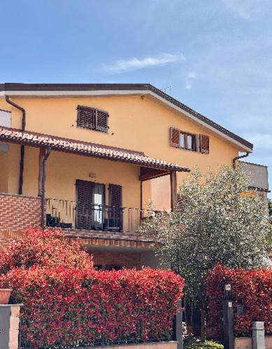 arezzo