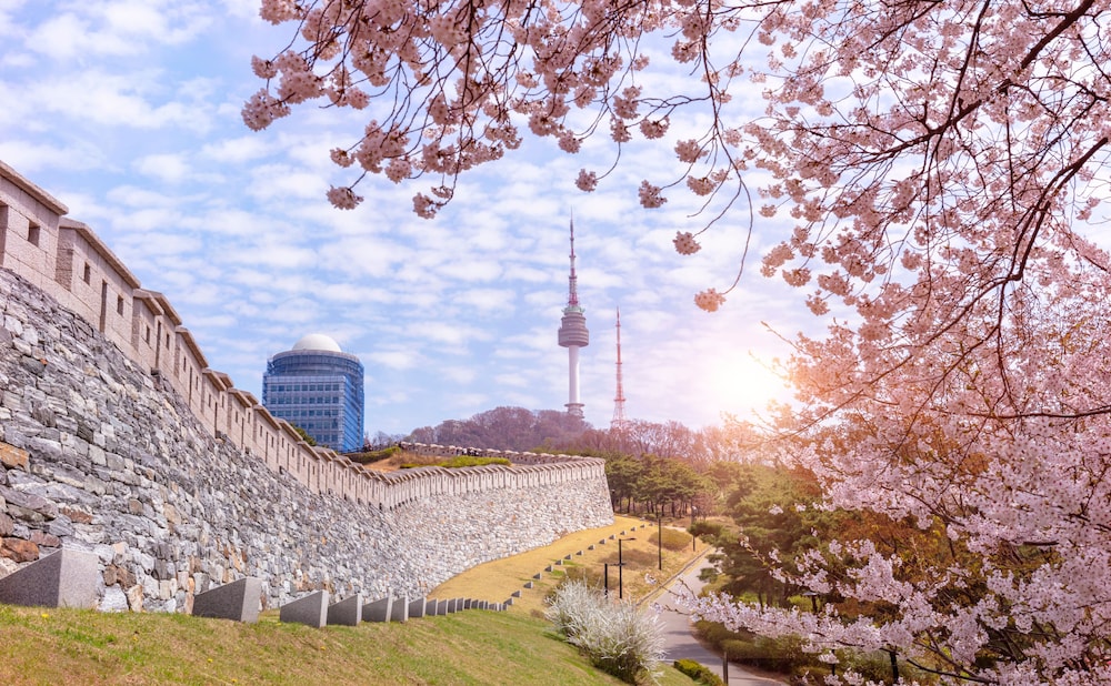 moxy seoul insadong