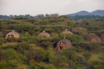 serengeti