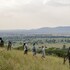 serengeti