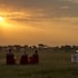 serengeti