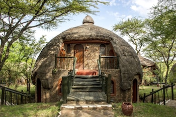 serengeti