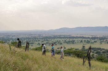 serengeti
