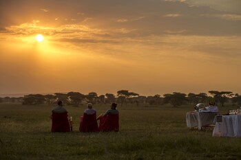 serengeti