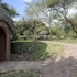 serengeti