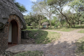 serengeti