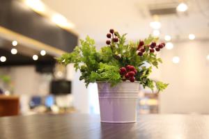 shanghai fish inn bund